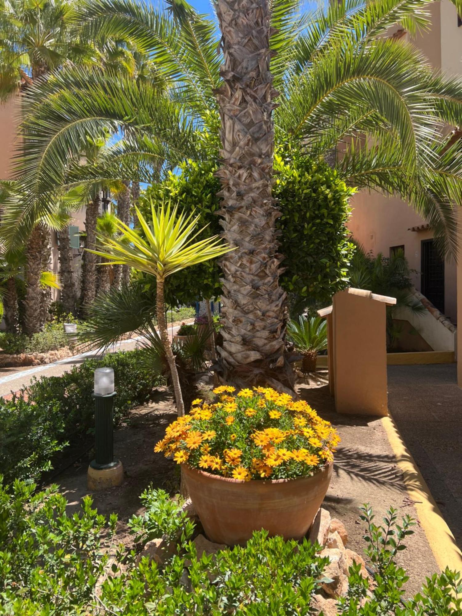 Casa Al Mare Aldea Lägenhet Torrevieja Exteriör bild